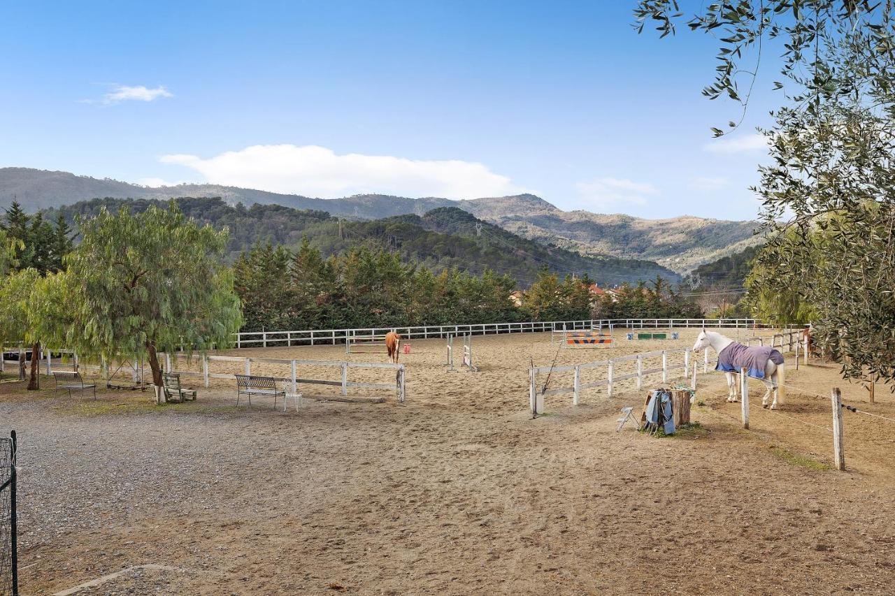 Molino Nuovo  Messalina Agriturismo La Scuderia מראה חיצוני תמונה